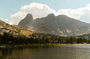 The Tallow + Honey Balm